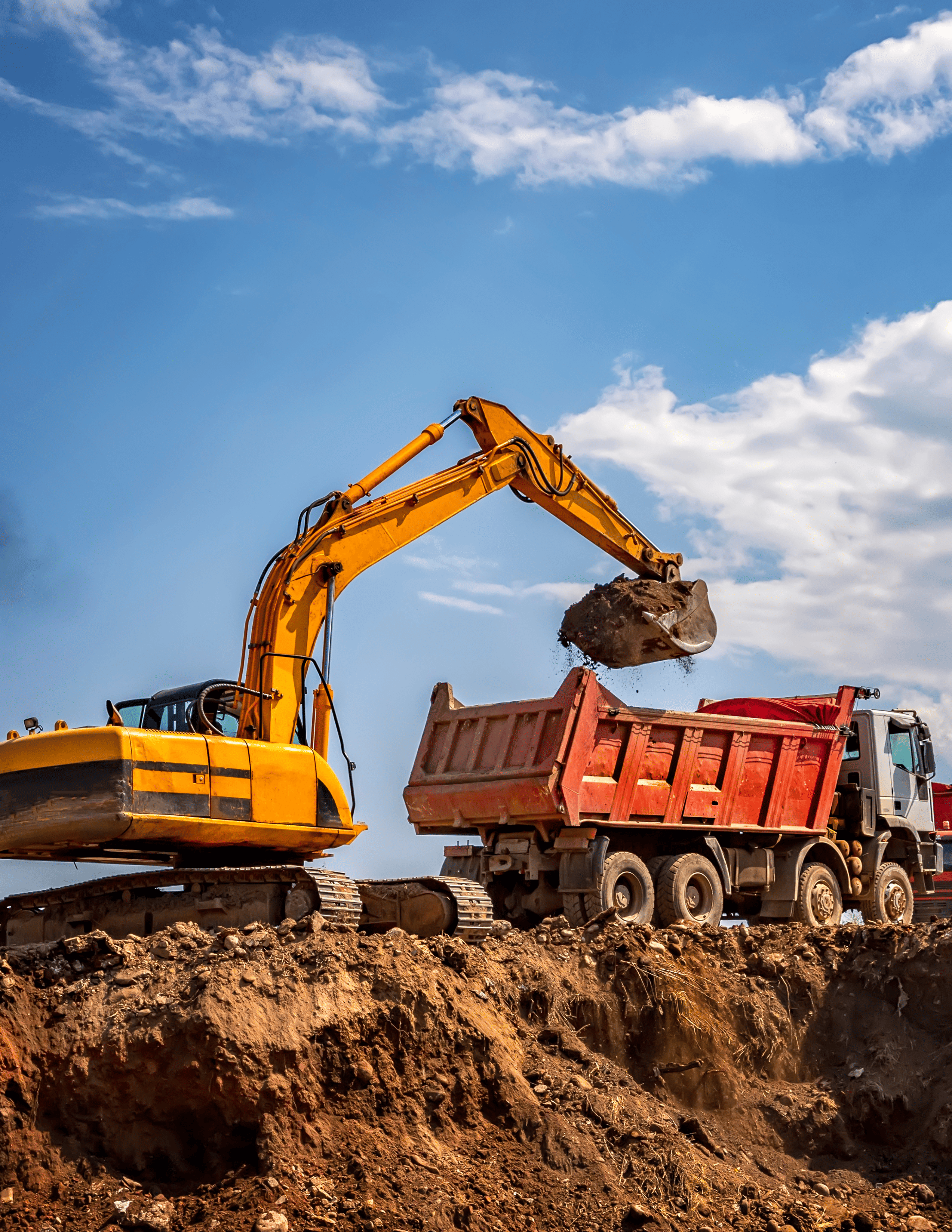 Professional service